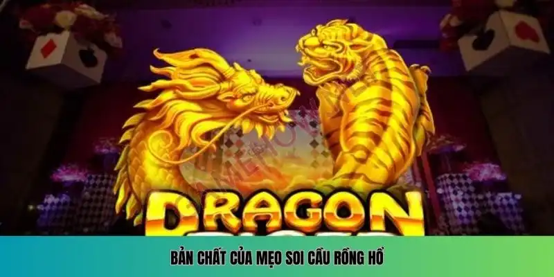 Bản chất của mẹo soi cầu Rồng Hổ