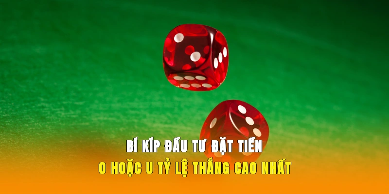 Bí kíp đầu tư đặt tiền tài xỉu 555WIN thắng cao nhất