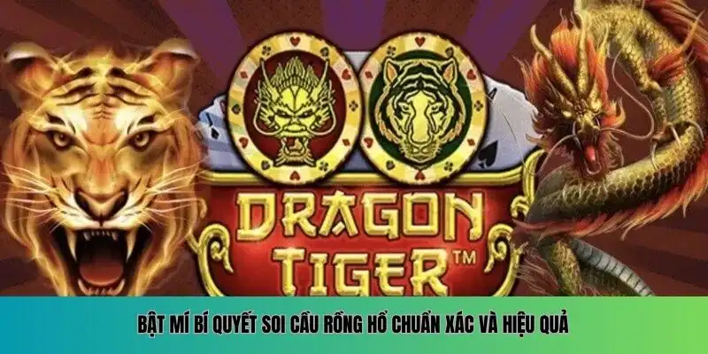 Bí quyết soi cầu Rồng Hổ chuẩn xác và hiệu quả