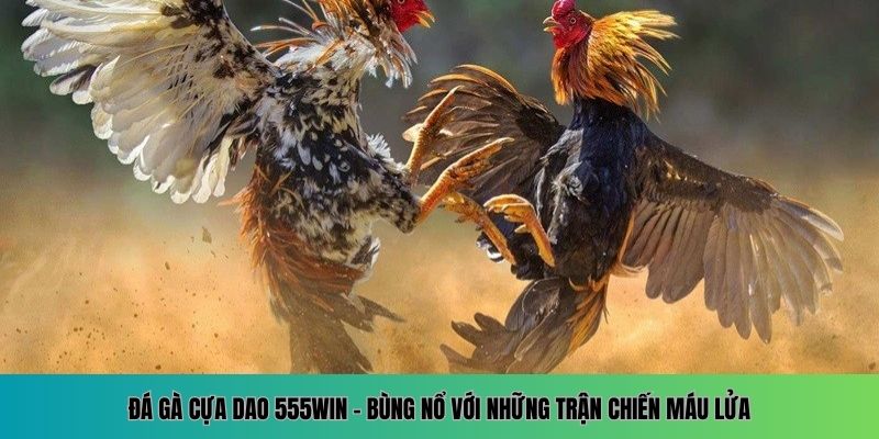 Đá Gà Cựa Dao 555WIN