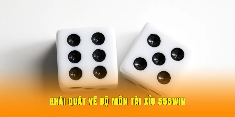 Khái quát về bộ môn tài xỉu 555WIN