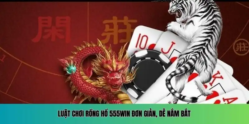 Luật chơi Rồng Hổ 555WIN đơn giản, dễ nắm bắt