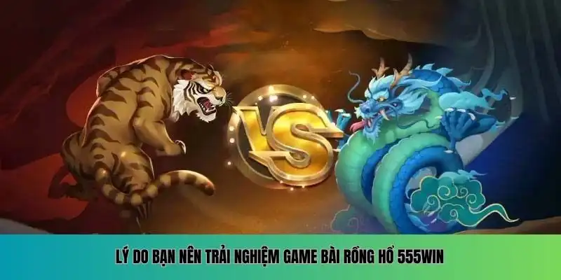Lý do nên trải nghiệm Rồng Hổ 555WIN