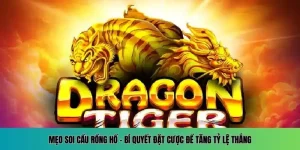 Soi Cầu Rồng Hổ 555WIN