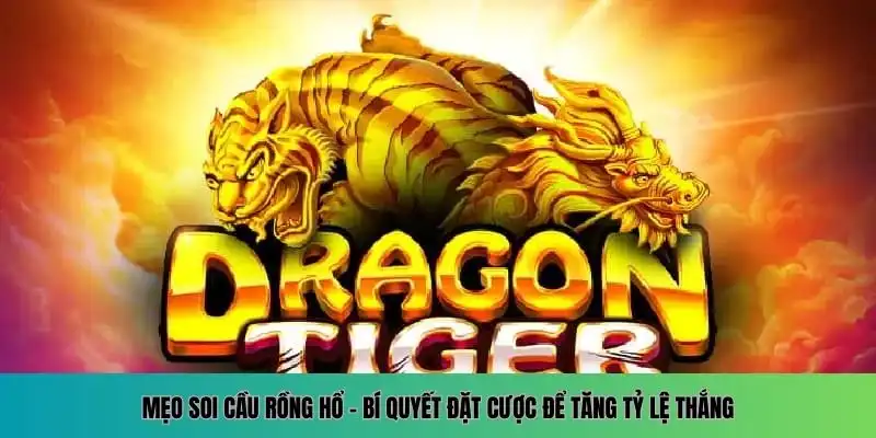 Soi Cầu Rồng Hổ 555WIN